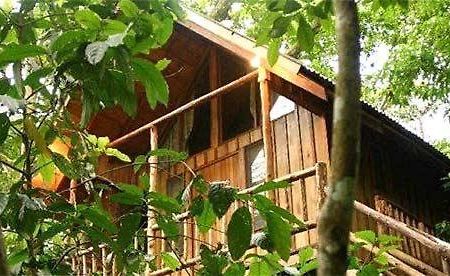 Bayrams Tree Houses オリンポス エクステリア 写真