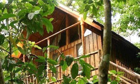 Bayrams Tree Houses オリンポス エクステリア 写真
