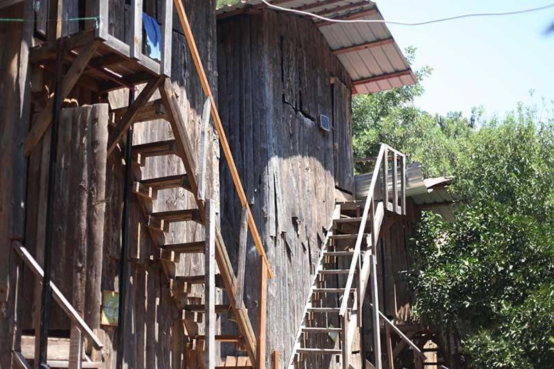 Bayrams Tree Houses オリンポス エクステリア 写真