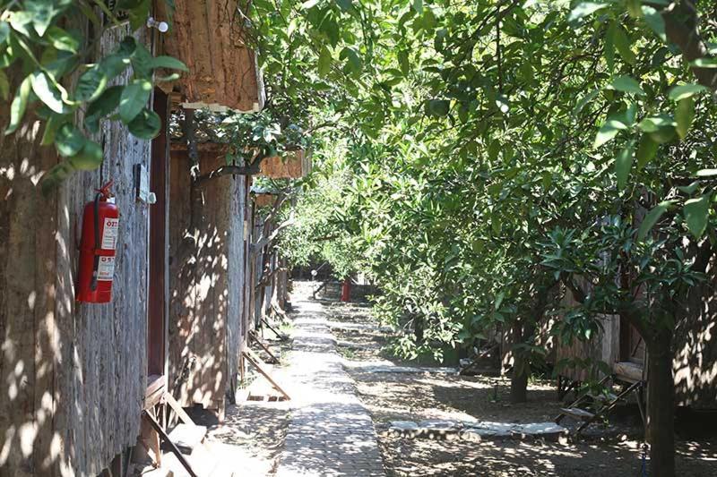 Bayrams Tree Houses オリンポス エクステリア 写真