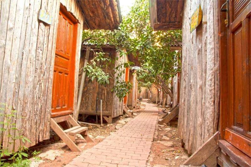 Bayrams Tree Houses オリンポス エクステリア 写真